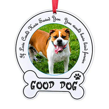 PETCEE Dogs Ornaments for Christmas Tree,Dog Lover Christmas Ornament 2021 All I Really Need for Christmas is Dogs and Wine 3 Funny Dog Christmas Ornament for Holiday Party Decorations Home Decor 